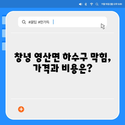 경상남도 창녕군 영산면 하수구막힘 | 가격 | 비용 | 기름제거 | 싱크대 | 변기 | 세면대 | 역류 | 냄새차단 | 2024 후기