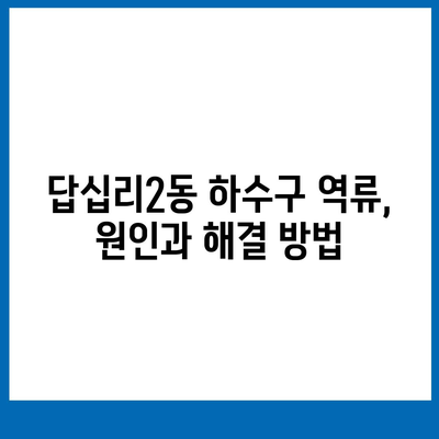 서울시 동대문구 답십리제2동 하수구막힘 | 가격 | 비용 | 기름제거 | 싱크대 | 변기 | 세면대 | 역류 | 냄새차단 | 2024 후기