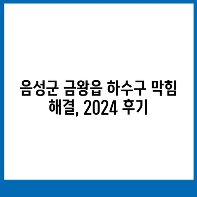 충청북도 음성군 금왕읍 하수구막힘 | 가격 | 비용 | 기름제거 | 싱크대 | 변기 | 세면대 | 역류 | 냄새차단 | 2024 후기