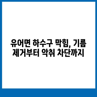 경상남도 창녕군 유어면 하수구막힘 | 가격 | 비용 | 기름제거 | 싱크대 | 변기 | 세면대 | 역류 | 냄새차단 | 2024 후기