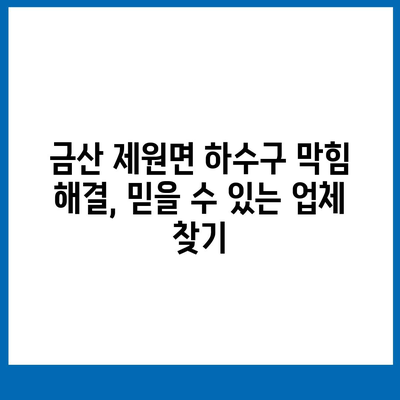 충청남도 금산군 제원면 하수구막힘 | 가격 | 비용 | 기름제거 | 싱크대 | 변기 | 세면대 | 역류 | 냄새차단 | 2024 후기