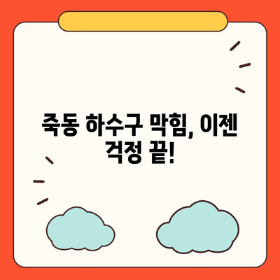 대전시 유성구 죽동 하수구막힘 | 가격 | 비용 | 기름제거 | 싱크대 | 변기 | 세면대 | 역류 | 냄새차단 | 2024 후기