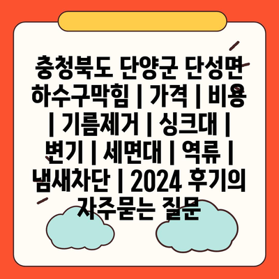 충청북도 단양군 단성면 하수구막힘 | 가격 | 비용 | 기름제거 | 싱크대 | 변기 | 세면대 | 역류 | 냄새차단 | 2024 후기