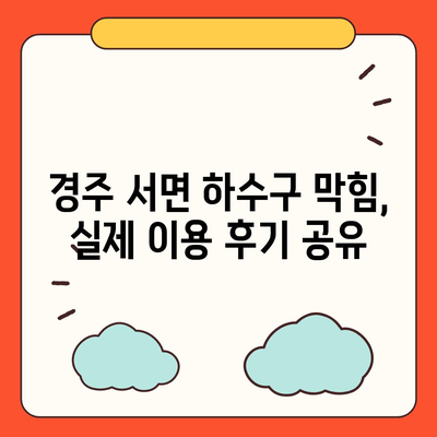 경상북도 경주시 서면 하수구막힘 | 가격 | 비용 | 기름제거 | 싱크대 | 변기 | 세면대 | 역류 | 냄새차단 | 2024 후기