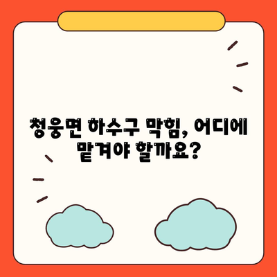 전라북도 임실군 청웅면 하수구막힘 | 가격 | 비용 | 기름제거 | 싱크대 | 변기 | 세면대 | 역류 | 냄새차단 | 2024 후기