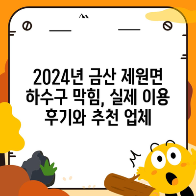 충청남도 금산군 제원면 하수구막힘 | 가격 | 비용 | 기름제거 | 싱크대 | 변기 | 세면대 | 역류 | 냄새차단 | 2024 후기