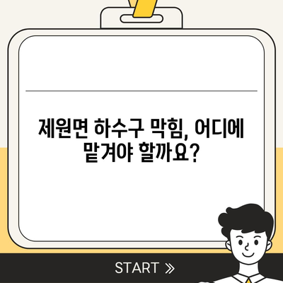 충청남도 금산군 제원면 하수구막힘 | 가격 | 비용 | 기름제거 | 싱크대 | 변기 | 세면대 | 역류 | 냄새차단 | 2024 후기