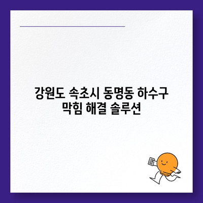 강원도 속초시 동명동 하수구막힘 | 가격 | 비용 | 기름제거 | 싱크대 | 변기 | 세면대 | 역류 | 냄새차단 | 2024 후기