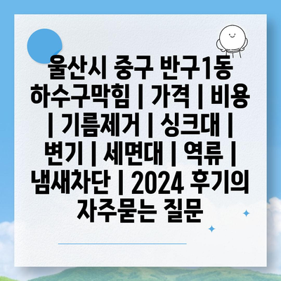 울산시 중구 반구1동 하수구막힘 | 가격 | 비용 | 기름제거 | 싱크대 | 변기 | 세면대 | 역류 | 냄새차단 | 2024 후기