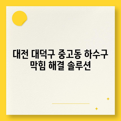 대전시 대덕구 중고동 하수구막힘 | 가격 | 비용 | 기름제거 | 싱크대 | 변기 | 세면대 | 역류 | 냄새차단 | 2024 후기