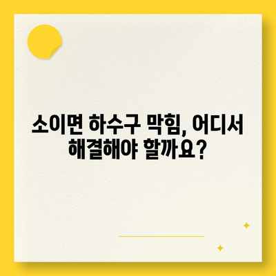 충청북도 음성군 소이면 하수구막힘 | 가격 | 비용 | 기름제거 | 싱크대 | 변기 | 세면대 | 역류 | 냄새차단 | 2024 후기