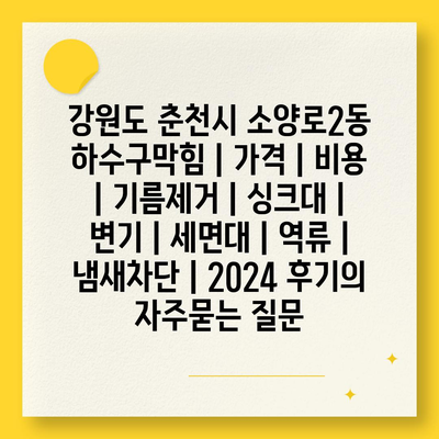 강원도 춘천시 소양로2동 하수구막힘 | 가격 | 비용 | 기름제거 | 싱크대 | 변기 | 세면대 | 역류 | 냄새차단 | 2024 후기