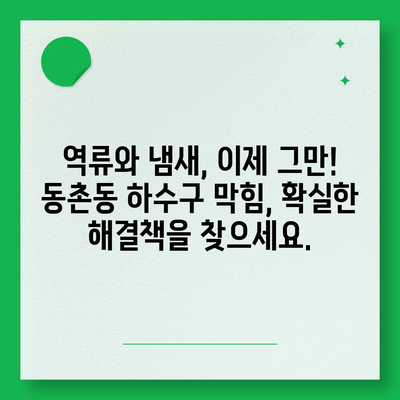 대구시 동구 동촌동 하수구막힘 | 가격 | 비용 | 기름제거 | 싱크대 | 변기 | 세면대 | 역류 | 냄새차단 | 2024 후기