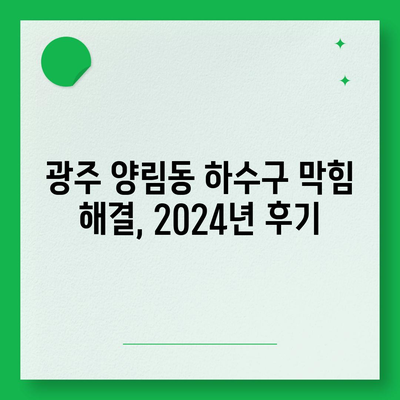 광주시 남구 양림동 하수구막힘 | 가격 | 비용 | 기름제거 | 싱크대 | 변기 | 세면대 | 역류 | 냄새차단 | 2024 후기