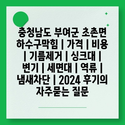 충청남도 부여군 초촌면 하수구막힘 | 가격 | 비용 | 기름제거 | 싱크대 | 변기 | 세면대 | 역류 | 냄새차단 | 2024 후기