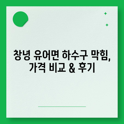 경상남도 창녕군 유어면 하수구막힘 | 가격 | 비용 | 기름제거 | 싱크대 | 변기 | 세면대 | 역류 | 냄새차단 | 2024 후기