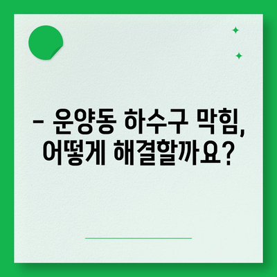 경기도 김포시 운양동 하수구막힘 | 가격 | 비용 | 기름제거 | 싱크대 | 변기 | 세면대 | 역류 | 냄새차단 | 2024 후기