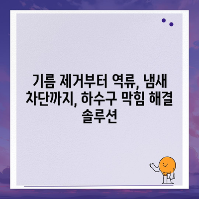 제주도 제주시 이도1동 하수구막힘 | 가격 | 비용 | 기름제거 | 싱크대 | 변기 | 세면대 | 역류 | 냄새차단 | 2024 후기