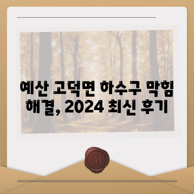 충청남도 예산군 고덕면 하수구막힘 | 가격 | 비용 | 기름제거 | 싱크대 | 변기 | 세면대 | 역류 | 냄새차단 | 2024 후기