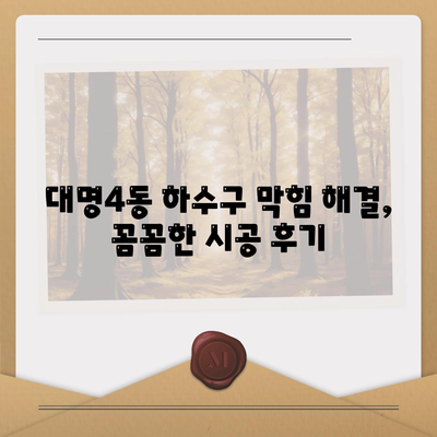 대구시 남구 대명4동 하수구막힘 | 가격 | 비용 | 기름제거 | 싱크대 | 변기 | 세면대 | 역류 | 냄새차단 | 2024 후기