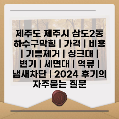 제주도 제주시 삼도2동 하수구막힘 | 가격 | 비용 | 기름제거 | 싱크대 | 변기 | 세면대 | 역류 | 냄새차단 | 2024 후기