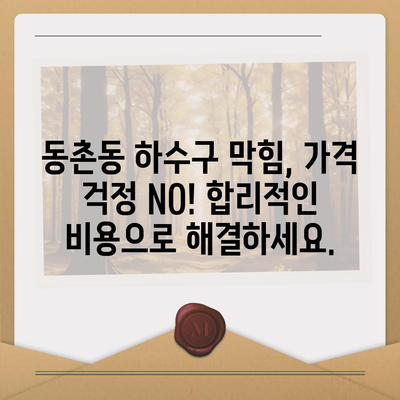 대구시 동구 동촌동 하수구막힘 | 가격 | 비용 | 기름제거 | 싱크대 | 변기 | 세면대 | 역류 | 냄새차단 | 2024 후기