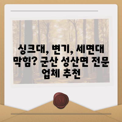 전라북도 군산시 성산면 하수구막힘 | 가격 | 비용 | 기름제거 | 싱크대 | 변기 | 세면대 | 역류 | 냄새차단 | 2024 후기