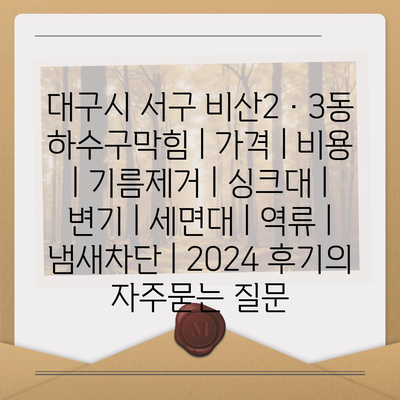 대구시 서구 비산2·3동 하수구막힘 | 가격 | 비용 | 기름제거 | 싱크대 | 변기 | 세면대 | 역류 | 냄새차단 | 2024 후기