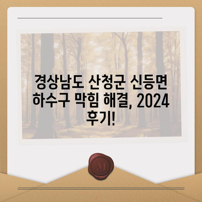 경상남도 산청군 신등면 하수구막힘 | 가격 | 비용 | 기름제거 | 싱크대 | 변기 | 세면대 | 역류 | 냄새차단 | 2024 후기