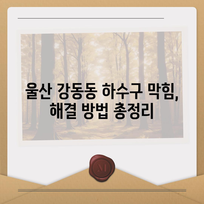 울산시 북구 강동동 하수구막힘 | 가격 | 비용 | 기름제거 | 싱크대 | 변기 | 세면대 | 역류 | 냄새차단 | 2024 후기