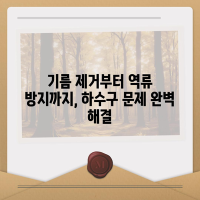 경상북도 의성군 금성면 하수구막힘 | 가격 | 비용 | 기름제거 | 싱크대 | 변기 | 세면대 | 역류 | 냄새차단 | 2024 후기