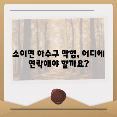 충청북도 음성군 소이면 하수구막힘 | 가격 | 비용 | 기름제거 | 싱크대 | 변기 | 세면대 | 역류 | 냄새차단 | 2024 후기