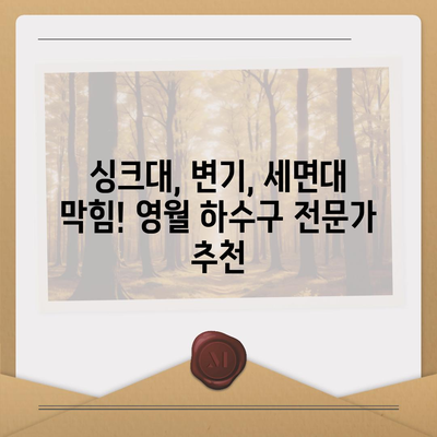 강원도 영월군 영월읍 하수구막힘 | 가격 | 비용 | 기름제거 | 싱크대 | 변기 | 세면대 | 역류 | 냄새차단 | 2024 후기