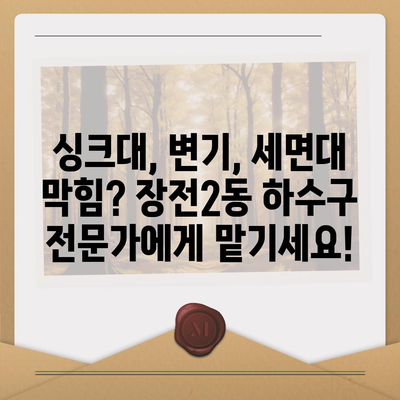 부산시 금정구 장전2동 하수구막힘 | 가격 | 비용 | 기름제거 | 싱크대 | 변기 | 세면대 | 역류 | 냄새차단 | 2024 후기