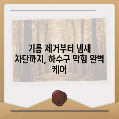 경상북도 상주시 외남면 하수구막힘 | 가격 | 비용 | 기름제거 | 싱크대 | 변기 | 세면대 | 역류 | 냄새차단 | 2024 후기