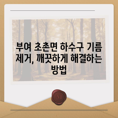 충청남도 부여군 초촌면 하수구막힘 | 가격 | 비용 | 기름제거 | 싱크대 | 변기 | 세면대 | 역류 | 냄새차단 | 2024 후기