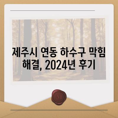 제주도 제주시 연동 하수구막힘 | 가격 | 비용 | 기름제거 | 싱크대 | 변기 | 세면대 | 역류 | 냄새차단 | 2024 후기