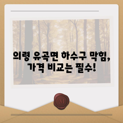 경상남도 의령군 유곡면 하수구막힘 | 가격 | 비용 | 기름제거 | 싱크대 | 변기 | 세면대 | 역류 | 냄새차단 | 2024 후기