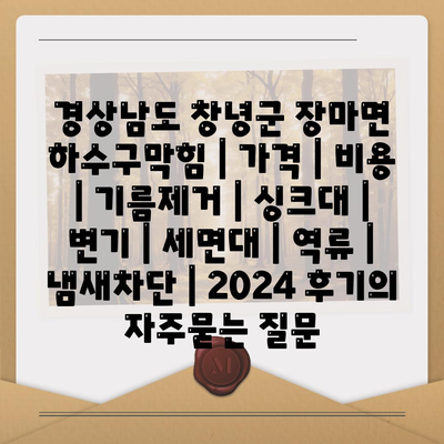 경상남도 창녕군 장마면 하수구막힘 | 가격 | 비용 | 기름제거 | 싱크대 | 변기 | 세면대 | 역류 | 냄새차단 | 2024 후기