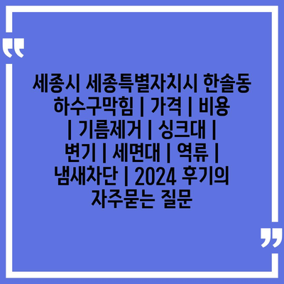 세종시 세종특별자치시 한솔동 하수구막힘 | 가격 | 비용 | 기름제거 | 싱크대 | 변기 | 세면대 | 역류 | 냄새차단 | 2024 후기