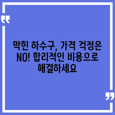 대전시 동구 대청동 하수구막힘 | 가격 | 비용 | 기름제거 | 싱크대 | 변기 | 세면대 | 역류 | 냄새차단 | 2024 후기