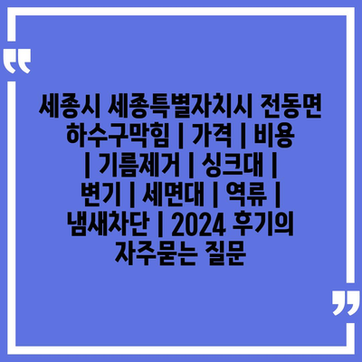 세종시 세종특별자치시 전동면 하수구막힘 | 가격 | 비용 | 기름제거 | 싱크대 | 변기 | 세면대 | 역류 | 냄새차단 | 2024 후기