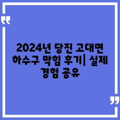 충청남도 당진시 고대면 하수구막힘 | 가격 | 비용 | 기름제거 | 싱크대 | 변기 | 세면대 | 역류 | 냄새차단 | 2024 후기