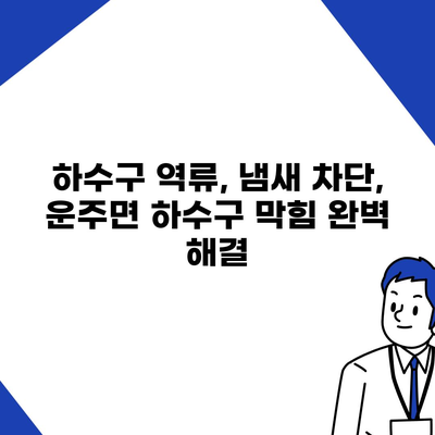 전라북도 완주군 운주면 하수구막힘 | 가격 | 비용 | 기름제거 | 싱크대 | 변기 | 세면대 | 역류 | 냄새차단 | 2024 후기