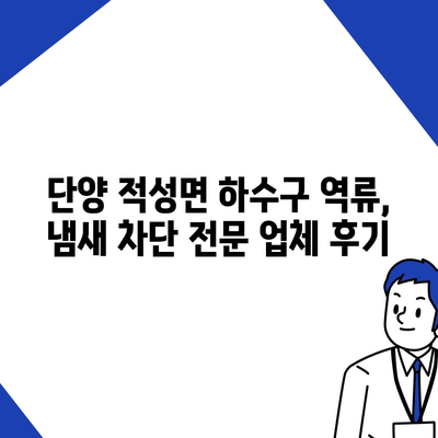 충청북도 단양군 적성면 하수구막힘 | 가격 | 비용 | 기름제거 | 싱크대 | 변기 | 세면대 | 역류 | 냄새차단 | 2024 후기