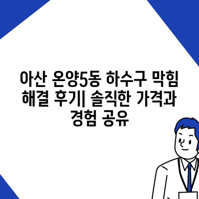 충청남도 아산시 온양5동 하수구막힘 | 가격 | 비용 | 기름제거 | 싱크대 | 변기 | 세면대 | 역류 | 냄새차단 | 2024 후기