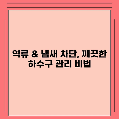 제주도 제주시 삼도2동 하수구막힘 | 가격 | 비용 | 기름제거 | 싱크대 | 변기 | 세면대 | 역류 | 냄새차단 | 2024 후기