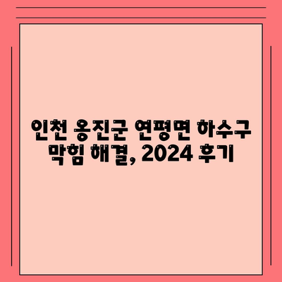 인천시 옹진군 연평면 하수구막힘 | 가격 | 비용 | 기름제거 | 싱크대 | 변기 | 세면대 | 역류 | 냄새차단 | 2024 후기