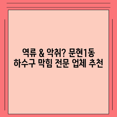 부산시 남구 문현1동 하수구막힘 | 가격 | 비용 | 기름제거 | 싱크대 | 변기 | 세면대 | 역류 | 냄새차단 | 2024 후기