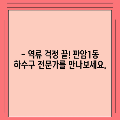 대전시 동구 판암1동 하수구막힘 | 가격 | 비용 | 기름제거 | 싱크대 | 변기 | 세면대 | 역류 | 냄새차단 | 2024 후기